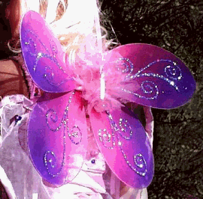 Dragonfly+wings+costume