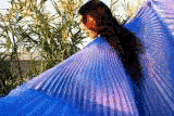 Img467.gif