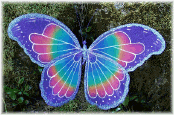 butterflypurple1.png