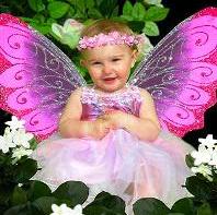 baby-fairys-pink-wings.jpg