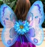 fairy wings 051.jpg